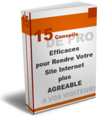 gagner de l'argent - 15 conseils de pro pour rendre votre site internet plus agr�able...
